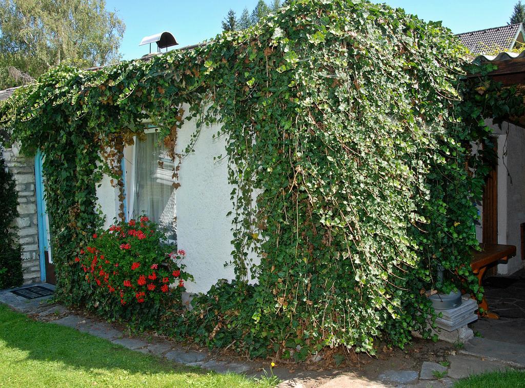 Pension Weber Tamsweg Exterior foto